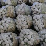 Agro Egypt for agricultural products Ghallab Citrus Export Company in Egypt Citrus Export Company