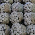 Agro Egypt for agricultural products Ghallab Citrus Export Company in Egypt Citrus Export Company