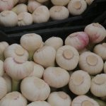 Agro Egypt for agricultural products Ghallab Citrus Export Company in Egypt Citrus Export Company