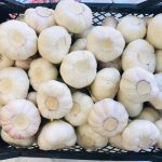 Agro Egypt for agricultural products Ghallab Citrus Export Company in Egypt Citrus Export Company