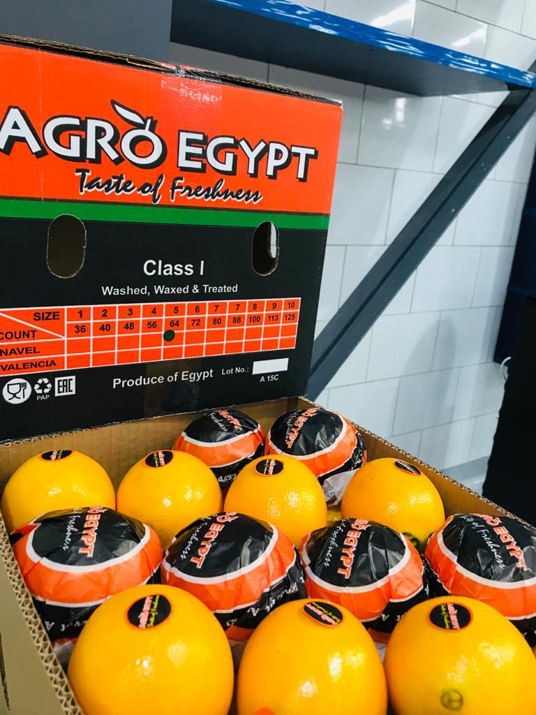 Agro Egypt for agricultural products Ghallab Citrus Export Company in Egypt Citrus Export Company
