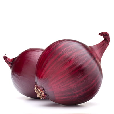 Red Onion Agro Egypt for agricultural products Ghallab Citrus Export Company in Egypt Citrus Export Company