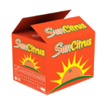 Sun Citrus Brand Agro Egypt for agricultural products Ghallab Citrus Export Company in Egypt Citrus Export Company